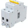 Автоматический выключатель IEK ВА47-60M 2Р 50А 6кА С - MVA31-2-050-C