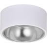 Накладной потолочный светильник IEK Lighting 4017 под лампу gx53 белый/хром