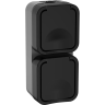 Розетка IEK 2-м ОП TORS 16А IP55 TS132 вертик. с заземл. с крышкой графит TS-R26-16-55-V-K53