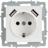 Розетка IEK BRITE BR-R14-16-U21-D21-K91