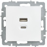 Розетка IEK BRITE BR-U22-045-K91