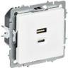 Розетка IEK BRITE BR-U22-045-K91