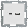 Розетка USB IEK BRITE BR-U22-018-K01