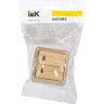 Выключатель 2-клавишный для открытой установки с индикацией IEK ОКТАВА ВС20-2-1-ОС 10А сосна - EVO21-K03-10-DC