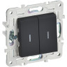 Выключатель проходной 2-клавишный IEK SKANDY 10А SK-V10G с индикацией графит SK-V22-1-10-K53